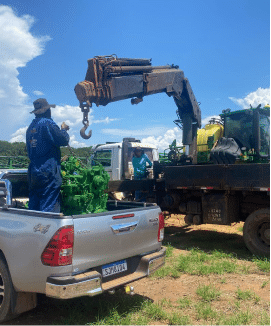 Fotos de sobre nos 19